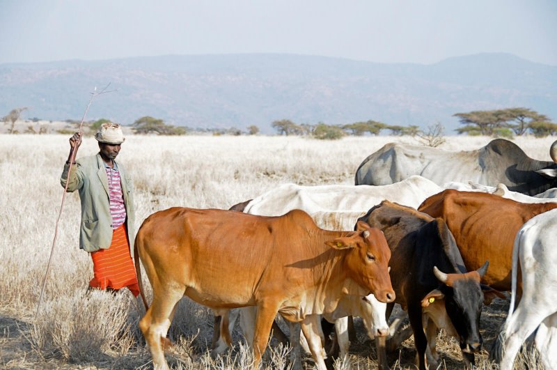 Protection des végétaux, santé animale et biotechnologie pour le ministère de l'Agriculture