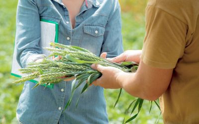 Équipement de laboratoire des sols et agronomie pour le ministère de l’Agriculture. Projet: ITB/2018/2843