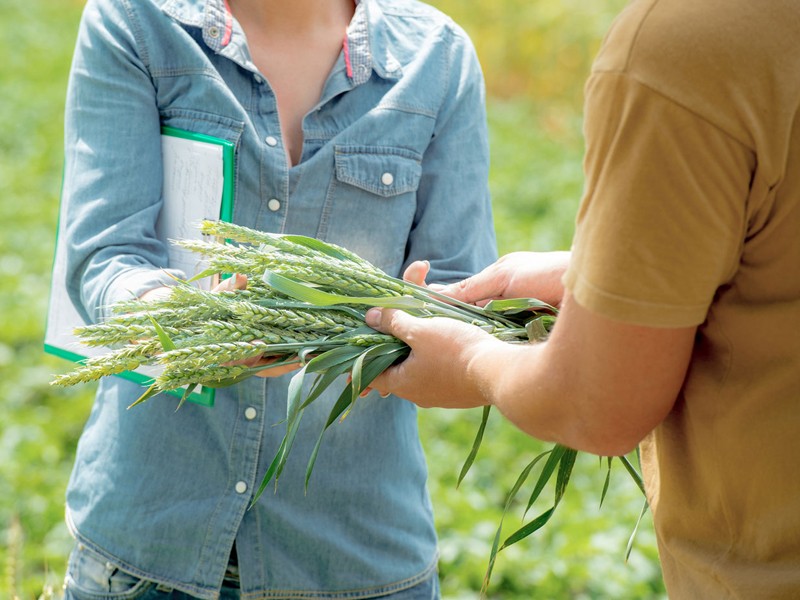 Équipement de laboratoire des sols et agronomie pour le ministère de l'Agriculture