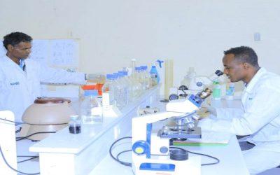 Supply of Laboratory Equipment for Strengthening Animal Disease Surveillance