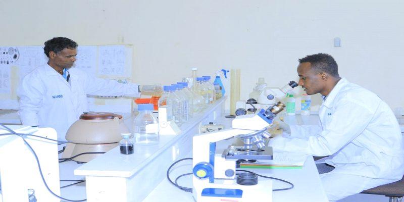 Laboratory Equipment for Strengthening Animal Disease Surveillance